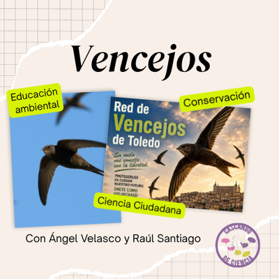 image event Este jueves os hablaremos de los vencejos y cómo ayudarlos