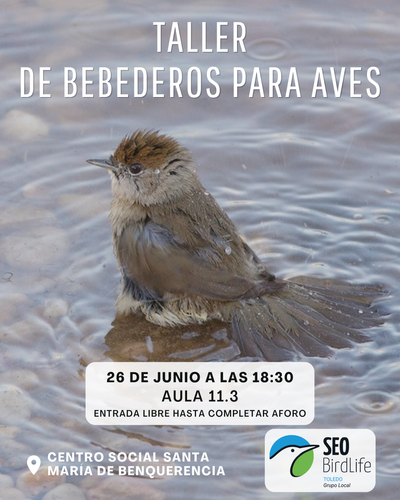 image event Taller de bebederos para aves en el Centro Social